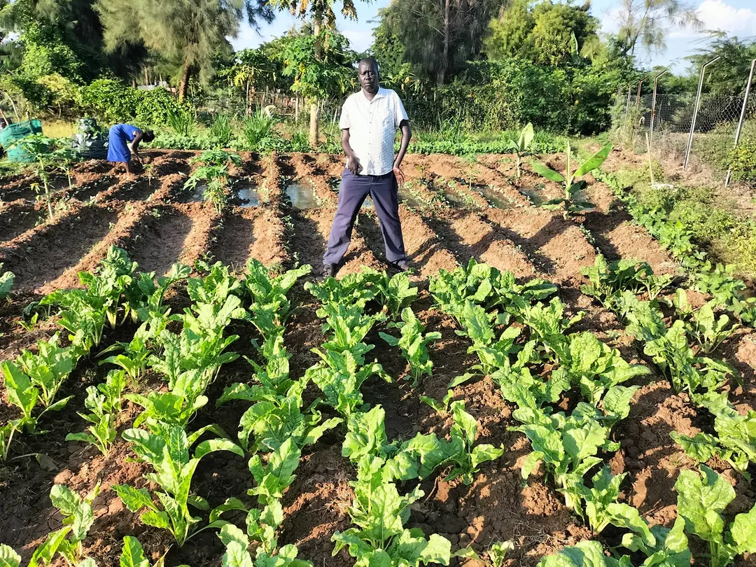 3E África ~ Environment, Entrepreneurship & Energy