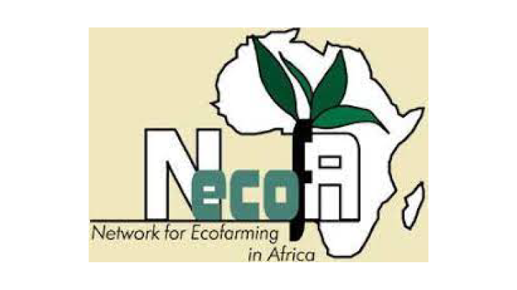 3E África ~ Environment, Entrepreneurship & Energy