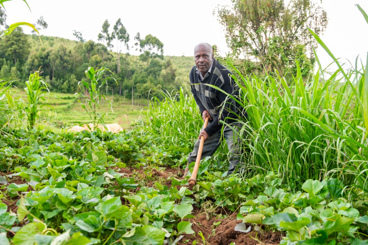 Empowering Communities, Enhancing Lives, Delivering Impact: Our Journey with Kenya’s Farmers