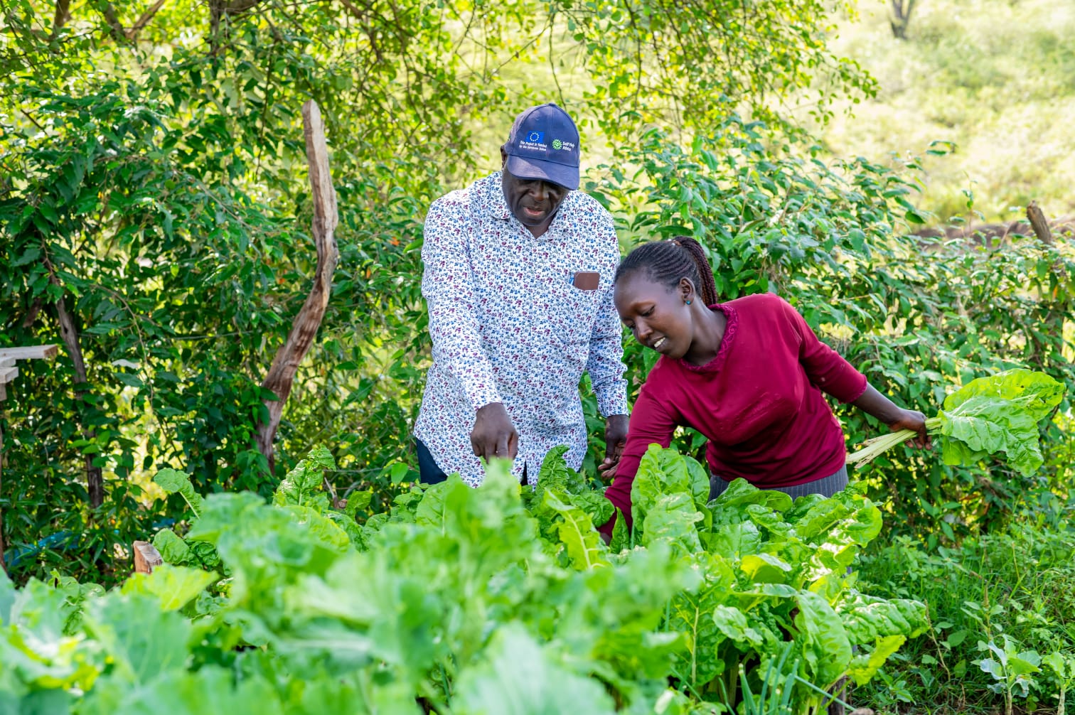 Farming Without a Future? Why Youth Can’t Be Left Out